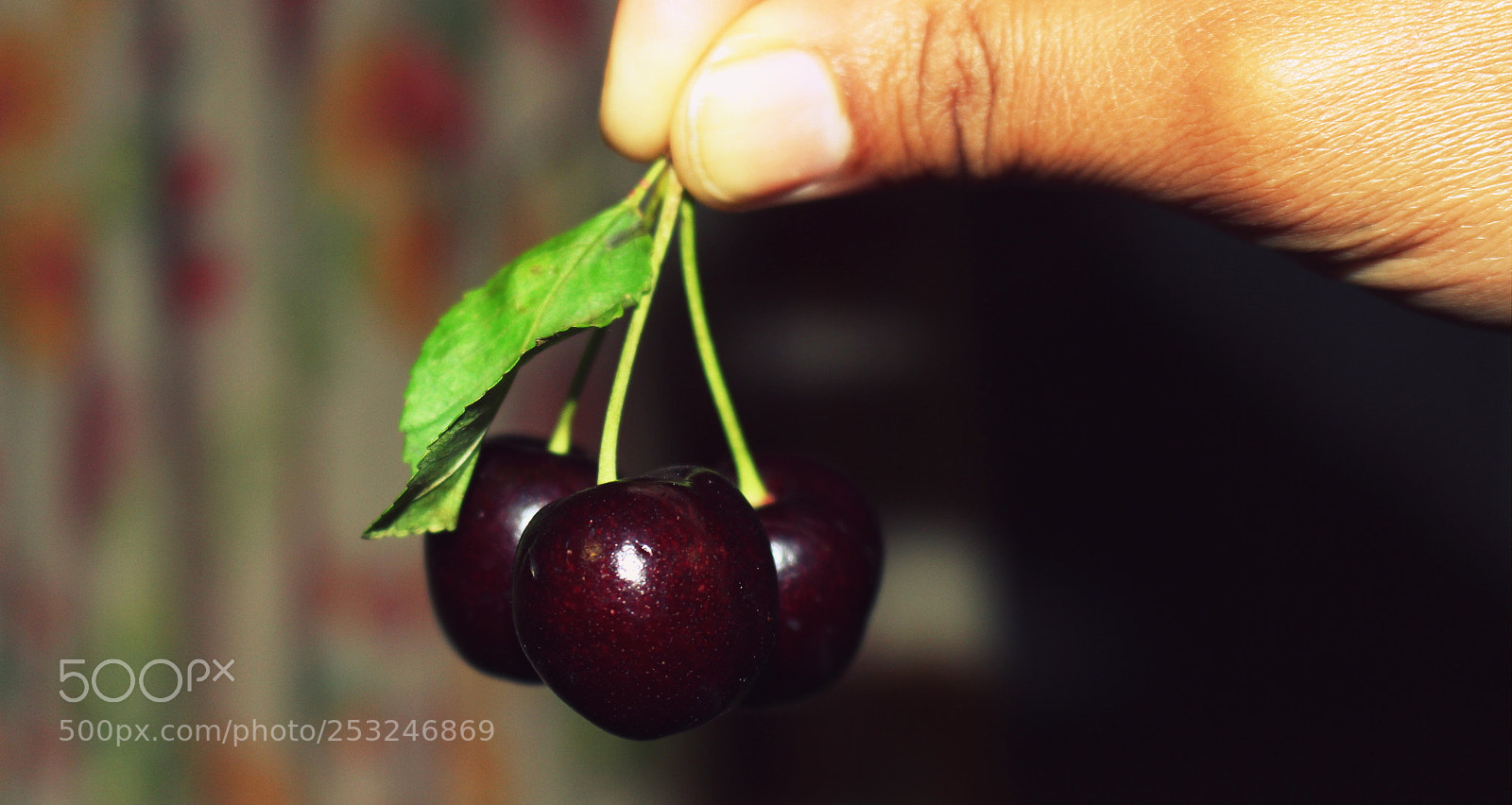 Canon EOS 700D (EOS Rebel T5i / EOS Kiss X7i) sample photo. My shoot photography