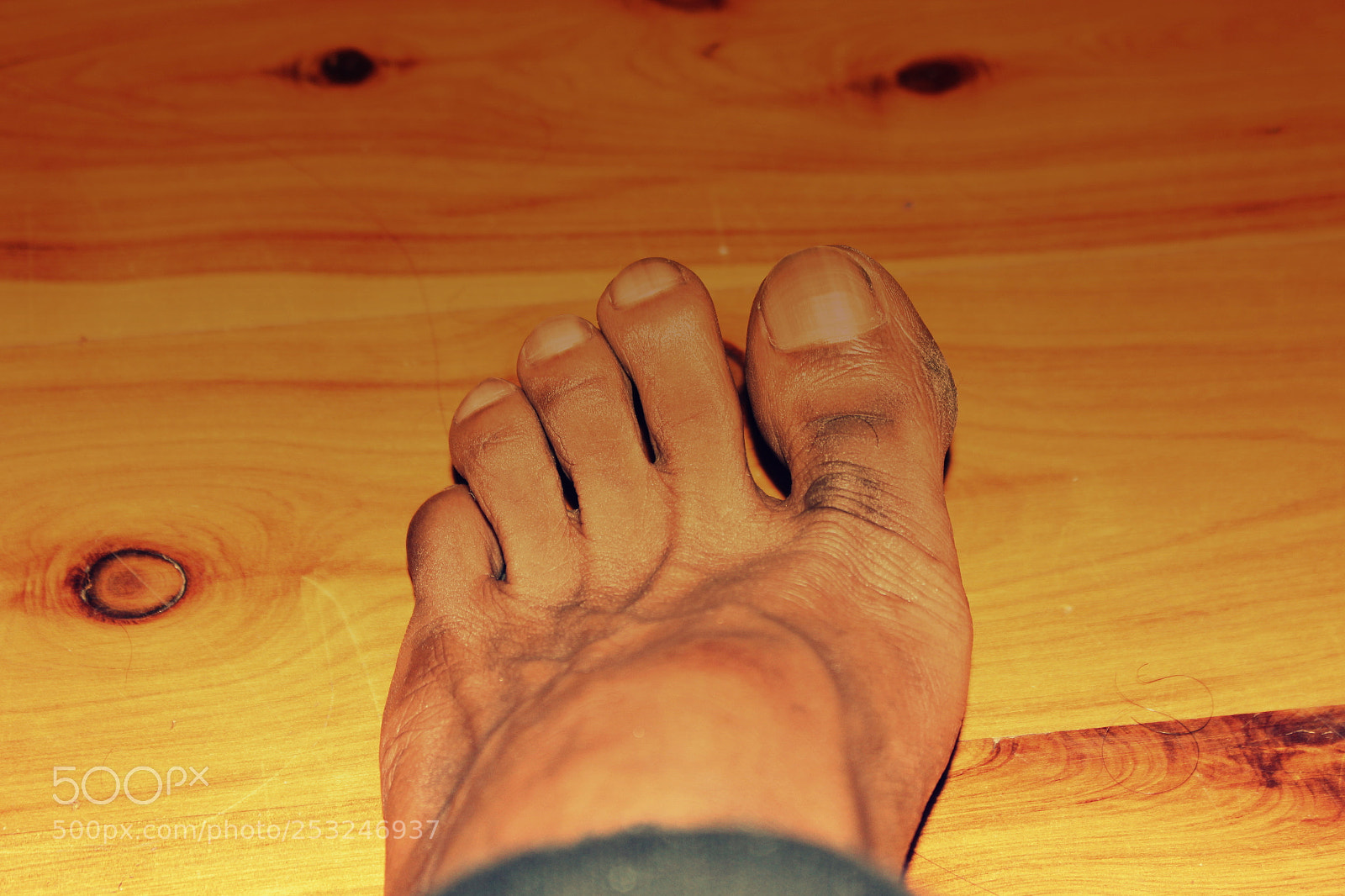 Canon EOS 700D (EOS Rebel T5i / EOS Kiss X7i) sample photo. My shoot photography