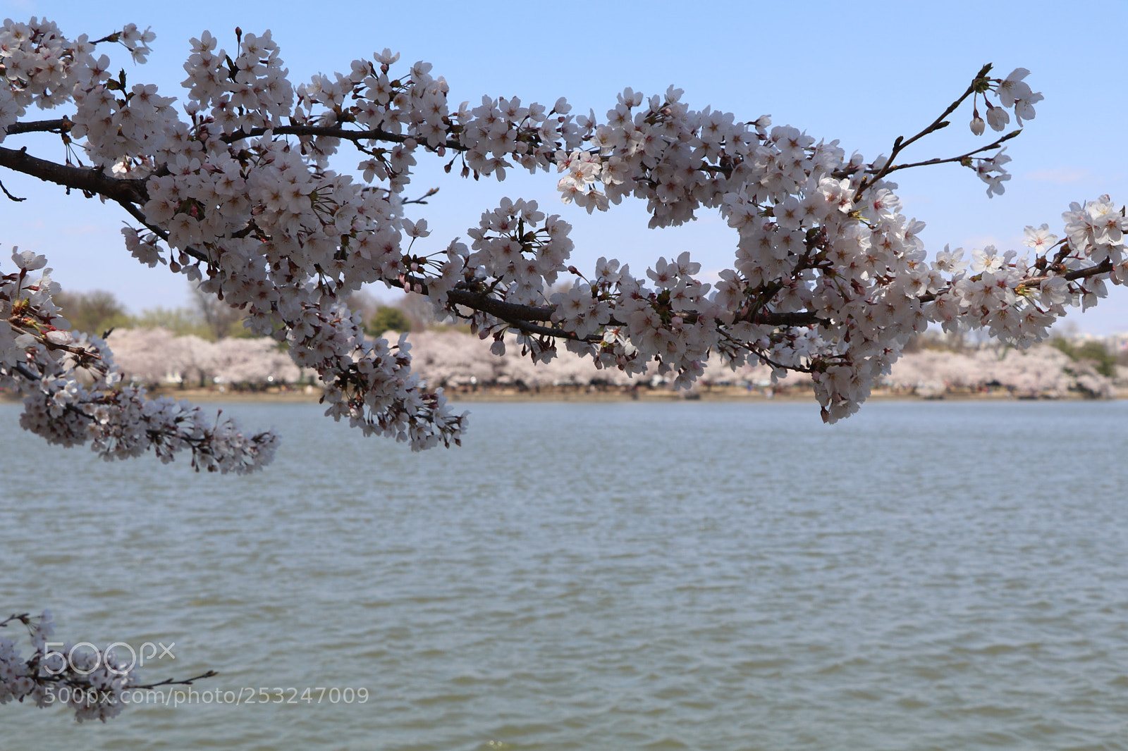 Canon EOS 80D sample photo. Untitled photography