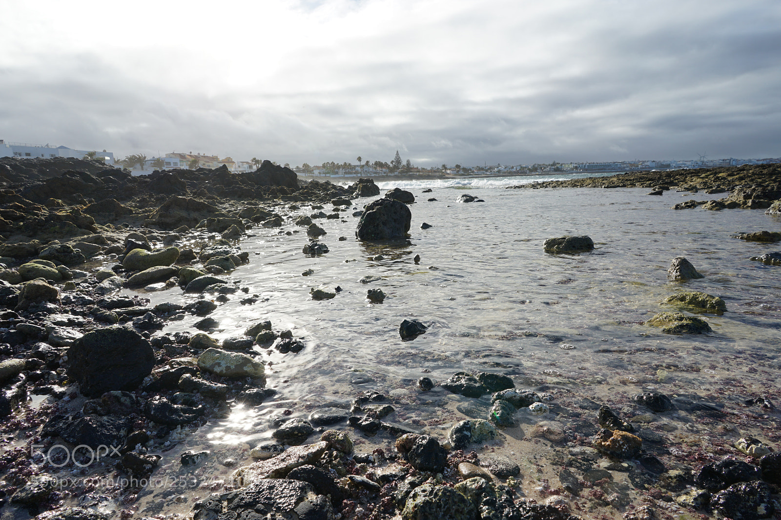 Sony a7 II sample photo. The bay of corralejo photography