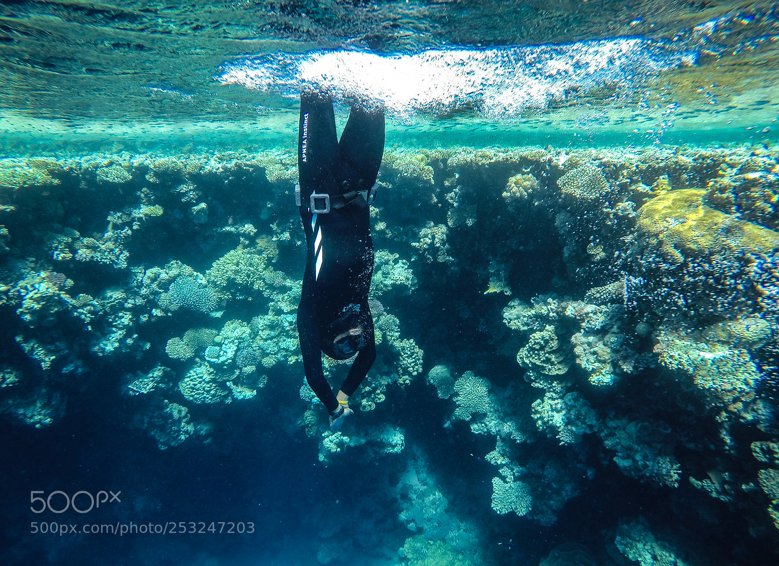 GoPro Hero5 Black sample photo. Duck diving photography