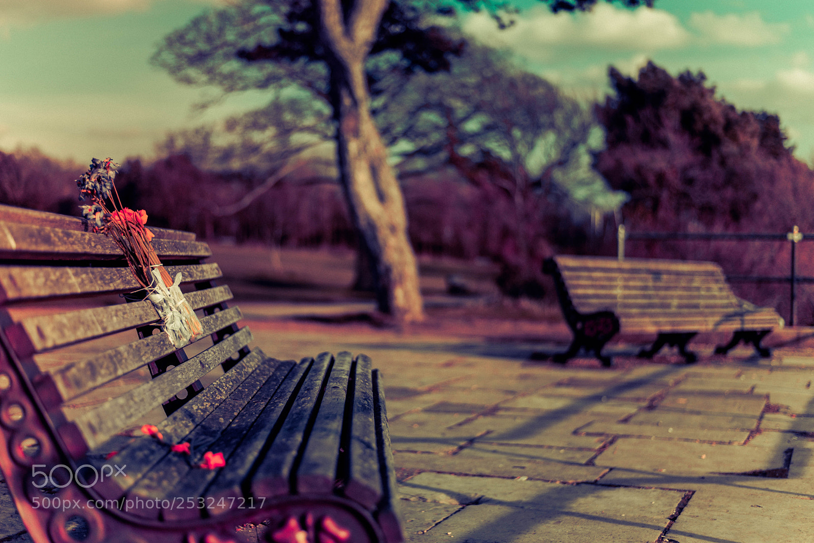 Nikon D610 sample photo. Tbc photography