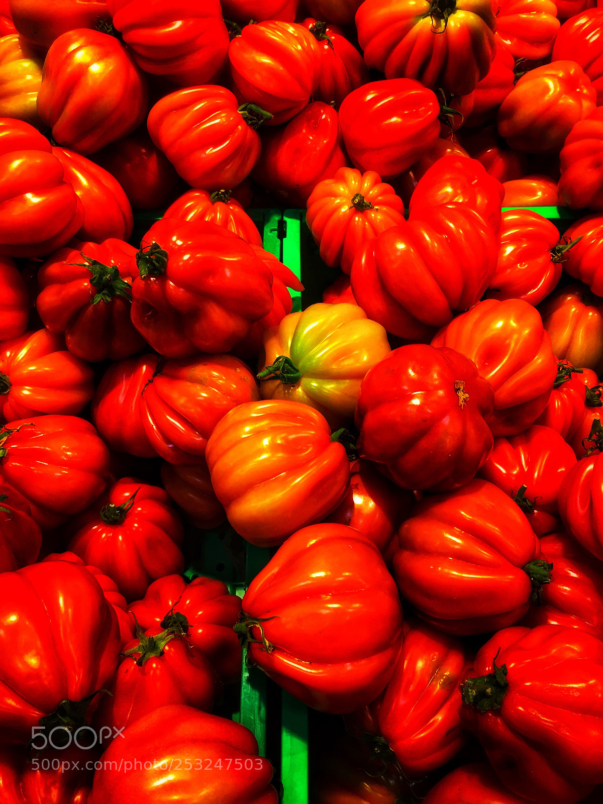 Apple iPhone 6 sample photo. Tomatoe photography