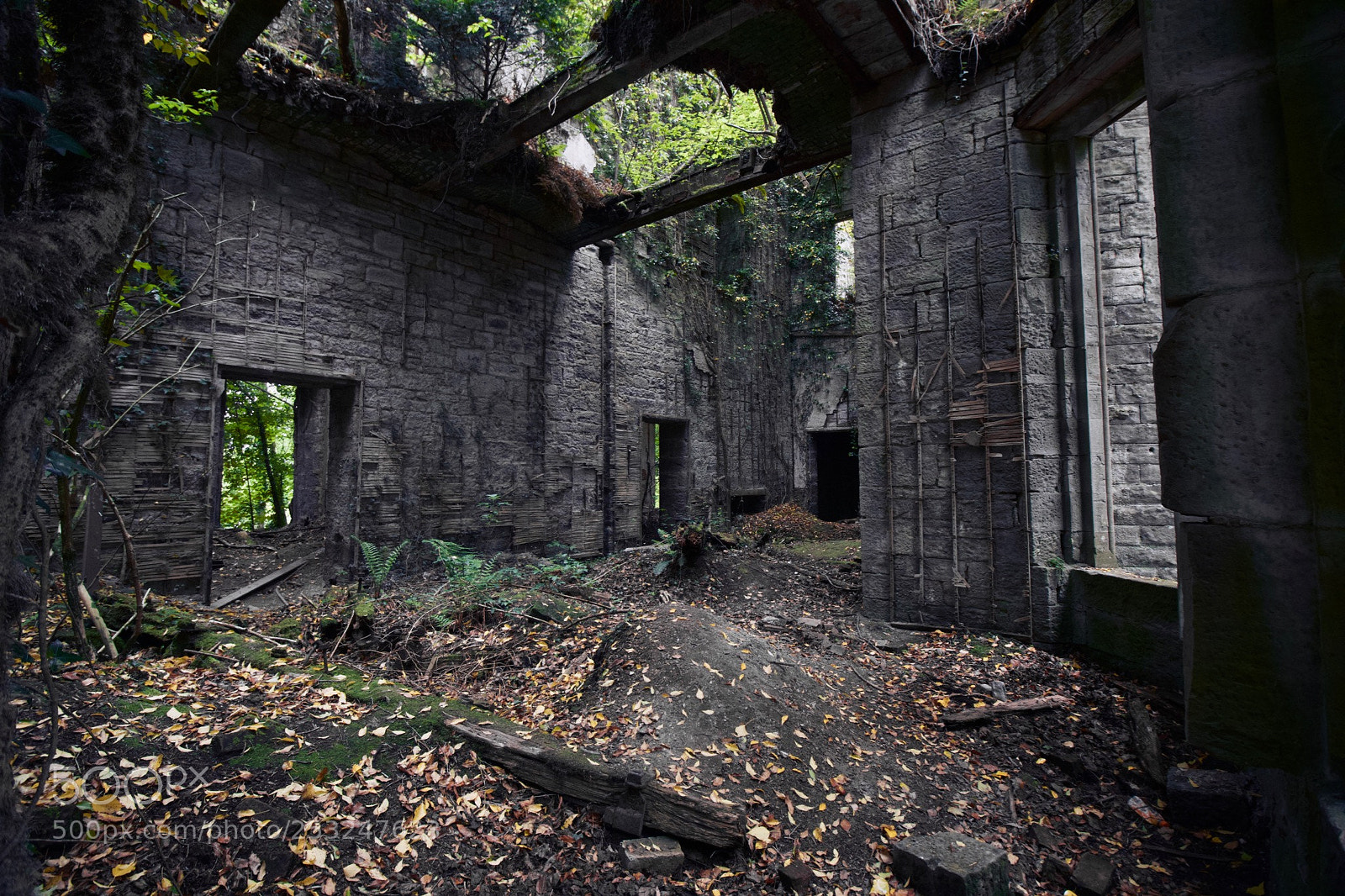 Canon EOS 70D sample photo. Buchanan castle photography