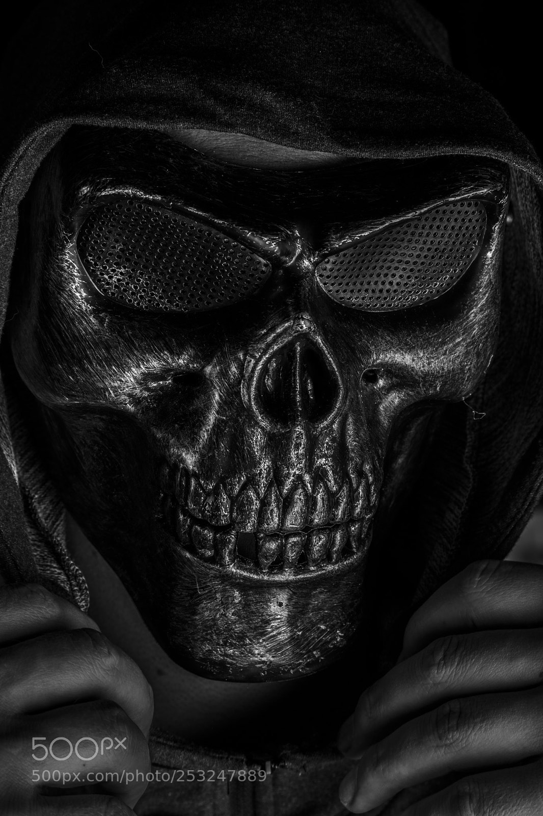 Canon EOS 5D Mark IV sample photo. Skull photography