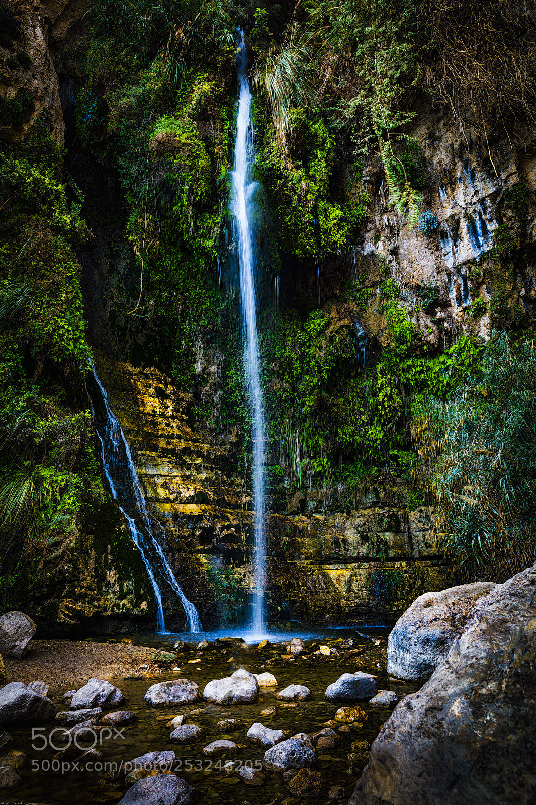 Canon EOS 5DS R sample photo. Ein gedi photography