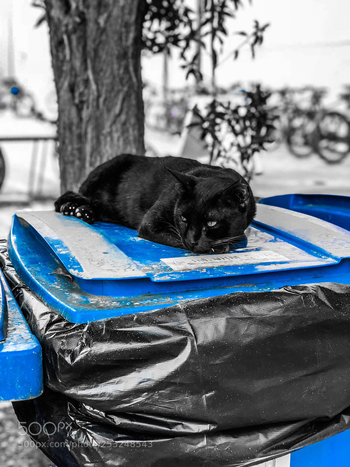 Apple iPhone X sample photo. Untitled photography