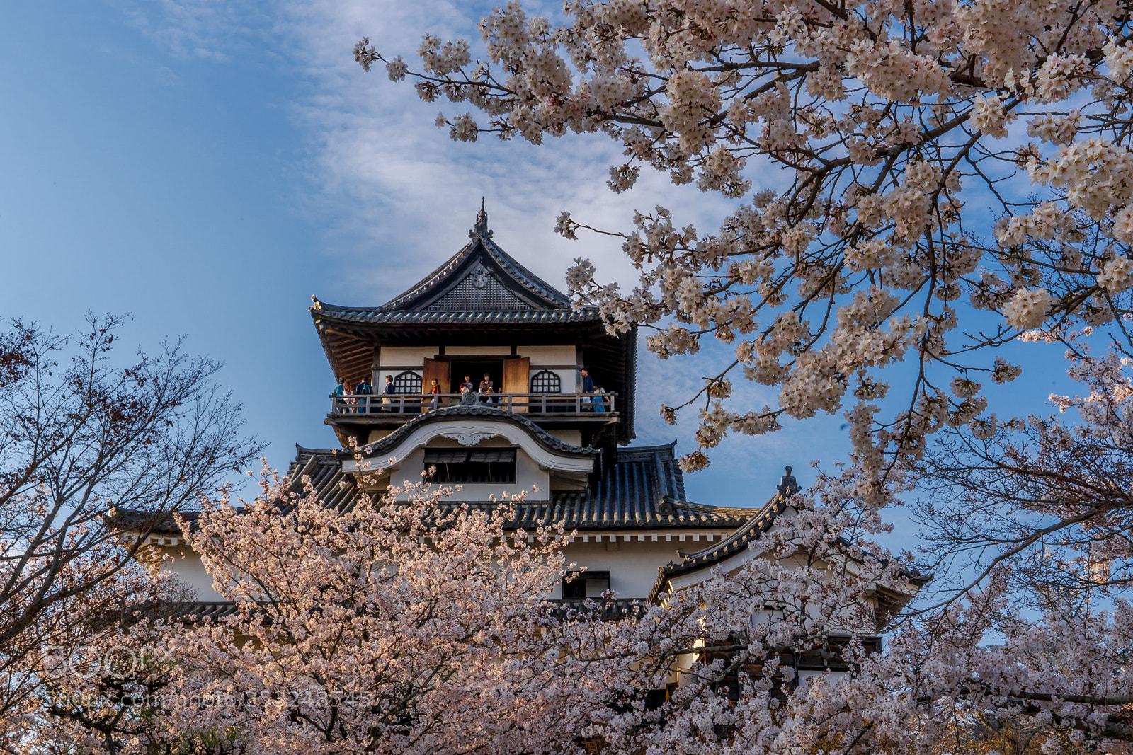 Sony a7 III sample photo. Inuyama castle photography