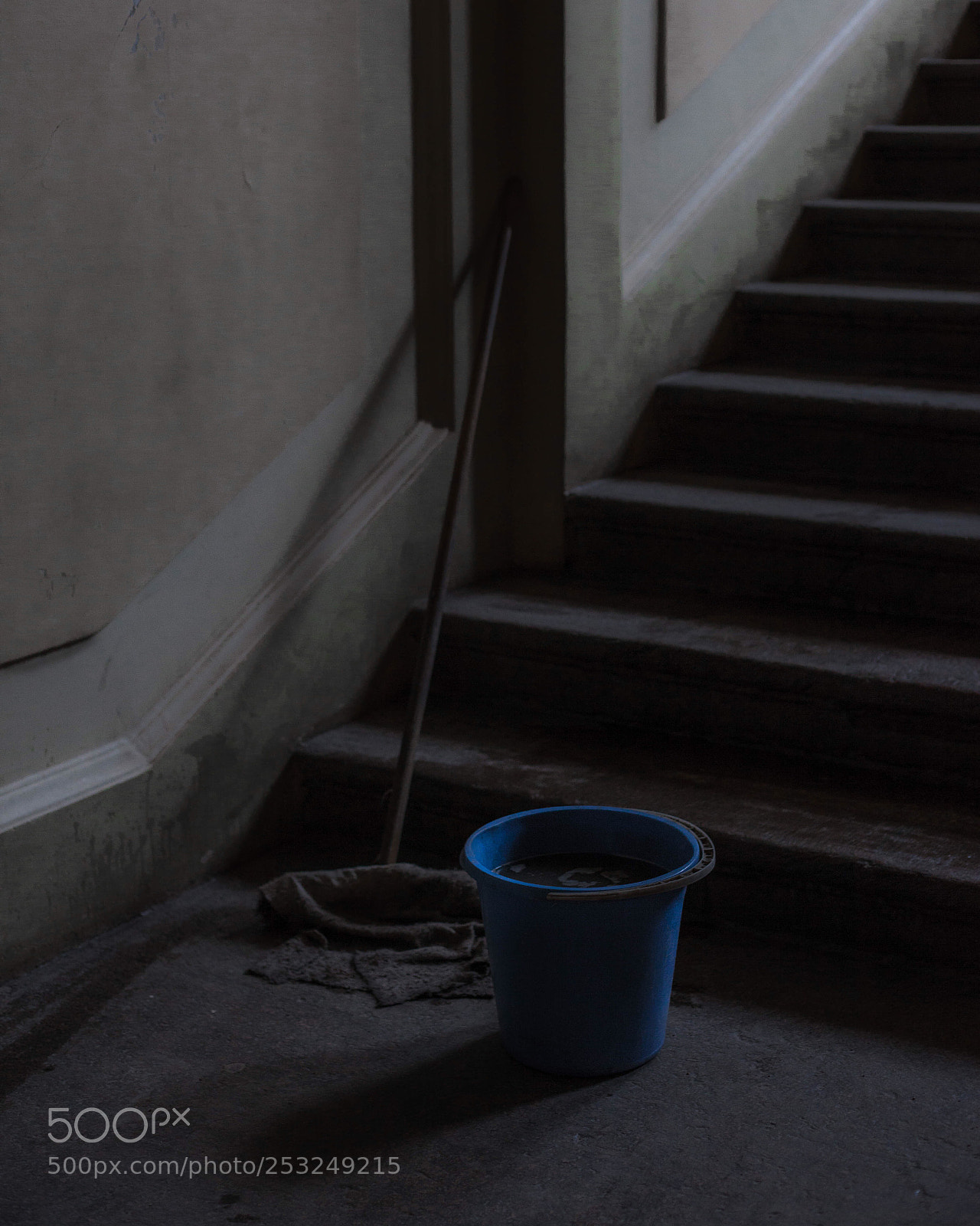 Canon EOS 5D Mark II sample photo. Untitled photography