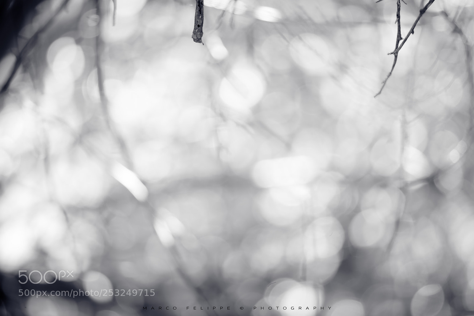 Sony a7S II sample photo. Noit #61 photography