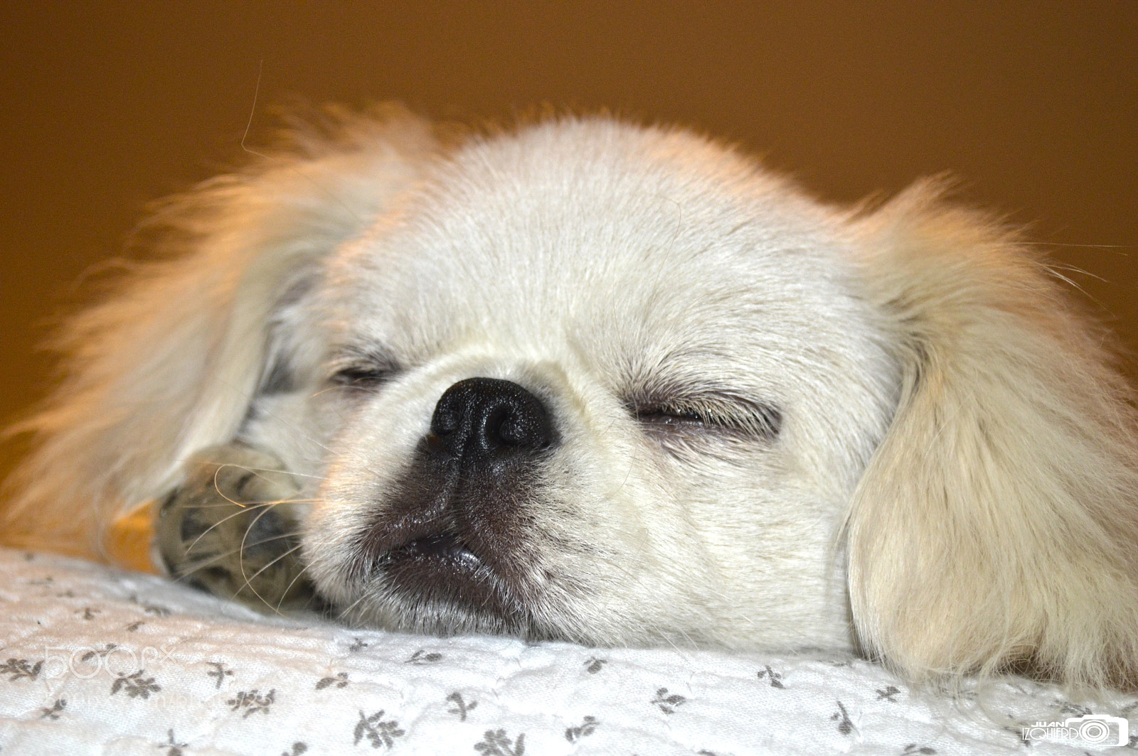 Nikon D3200 sample photo. Untitled photography