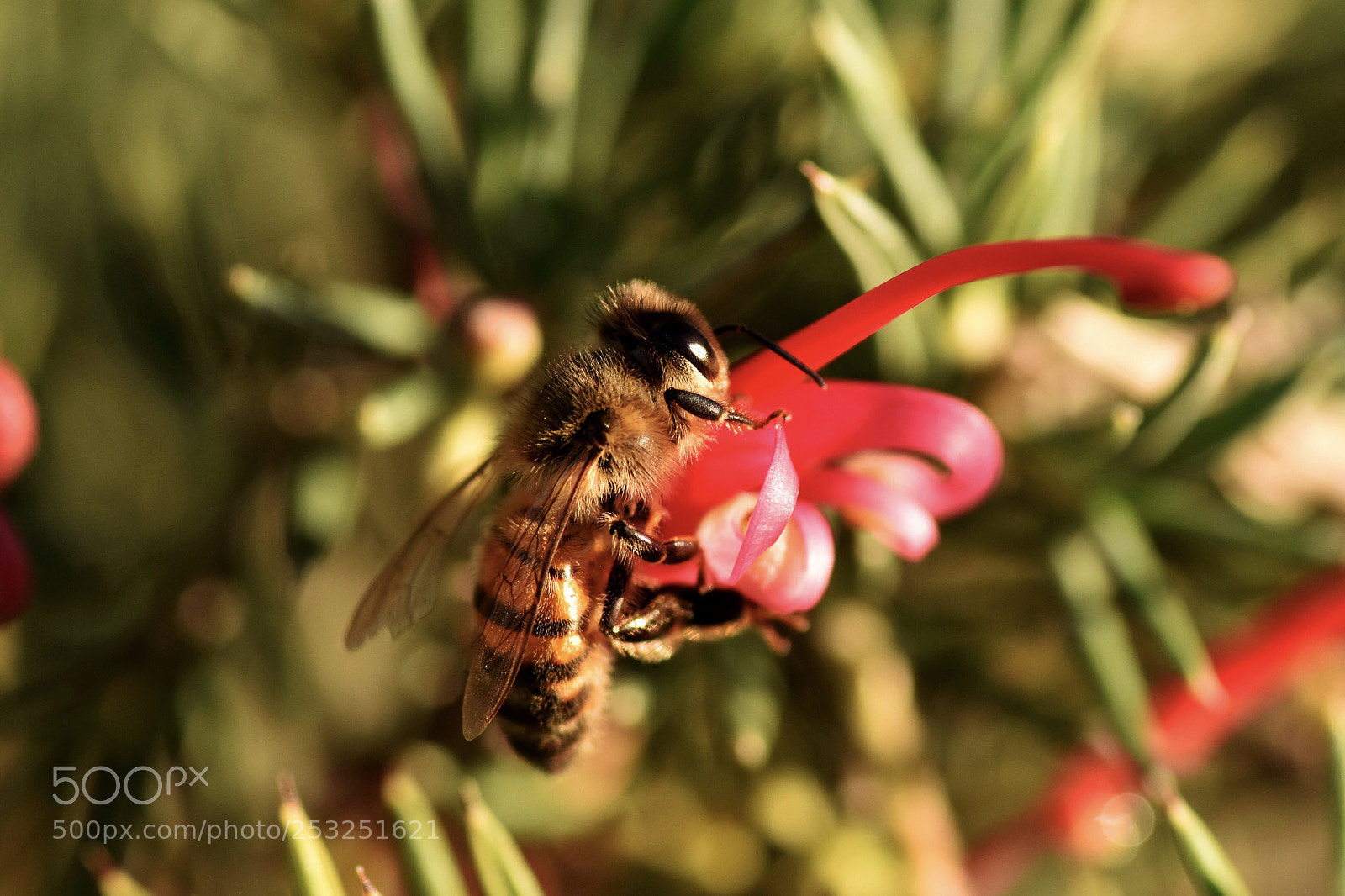 Nikon D5500 sample photo. Untitled photography