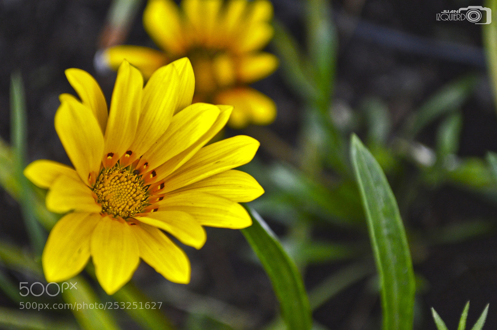 Nikon D3200 sample photo. Untitled photography