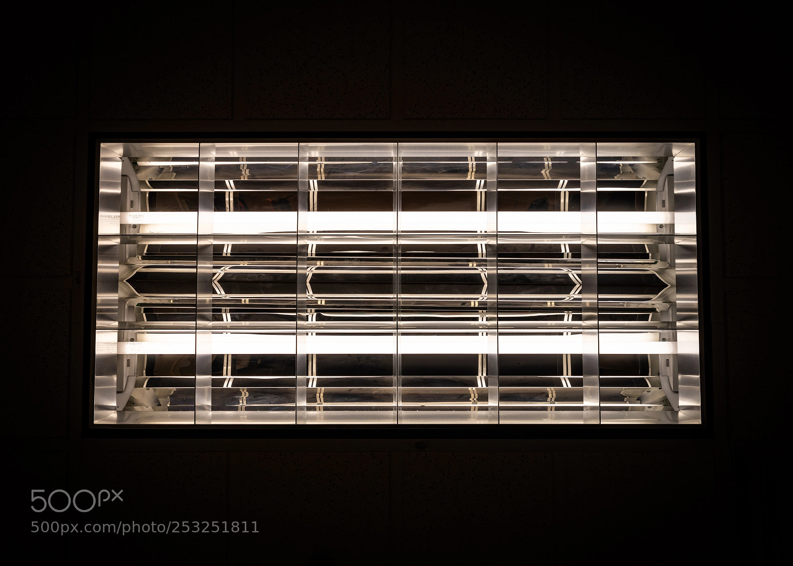 Canon EOS 5D Mark IV sample photo. Fluorescent light photography