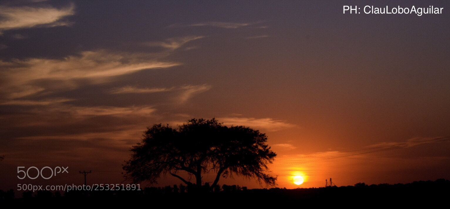 Nikon D5300 sample photo. Sun  photography