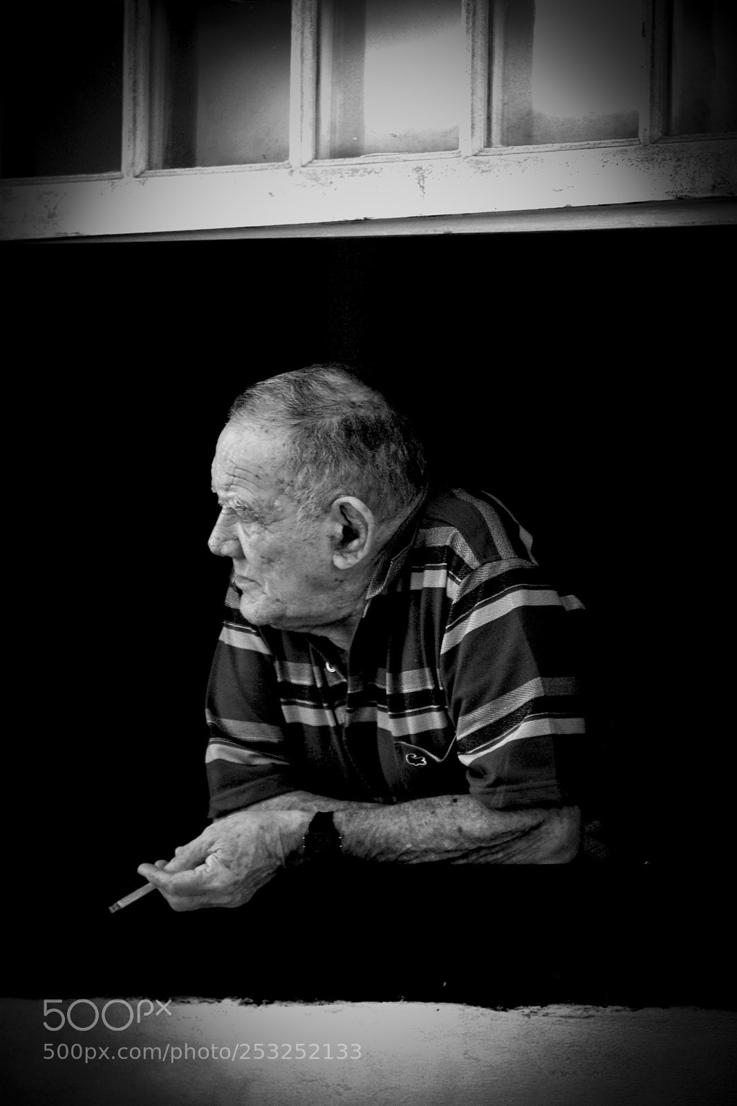 Nikon D7100 sample photo. The quiet life of photography
