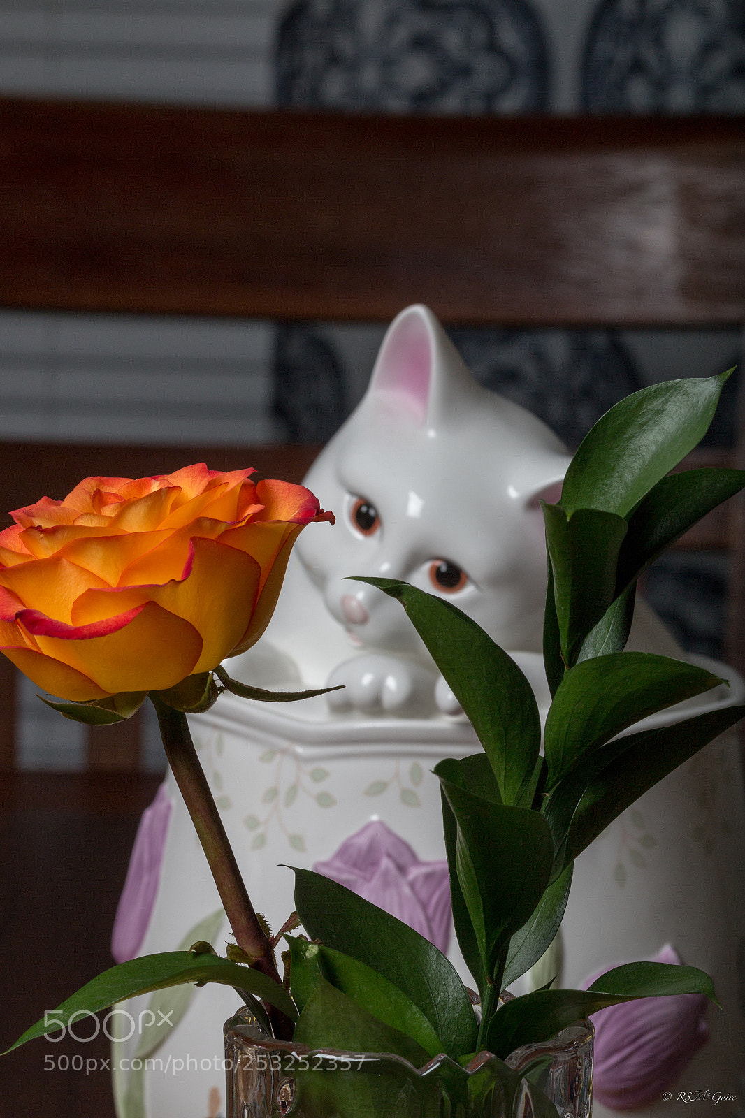 Canon EOS 70D sample photo. Penny's rose photography