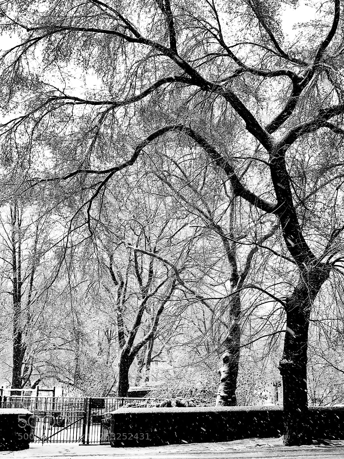 Apple iPhone 7 Plus sample photo. Central park,manhattan photography