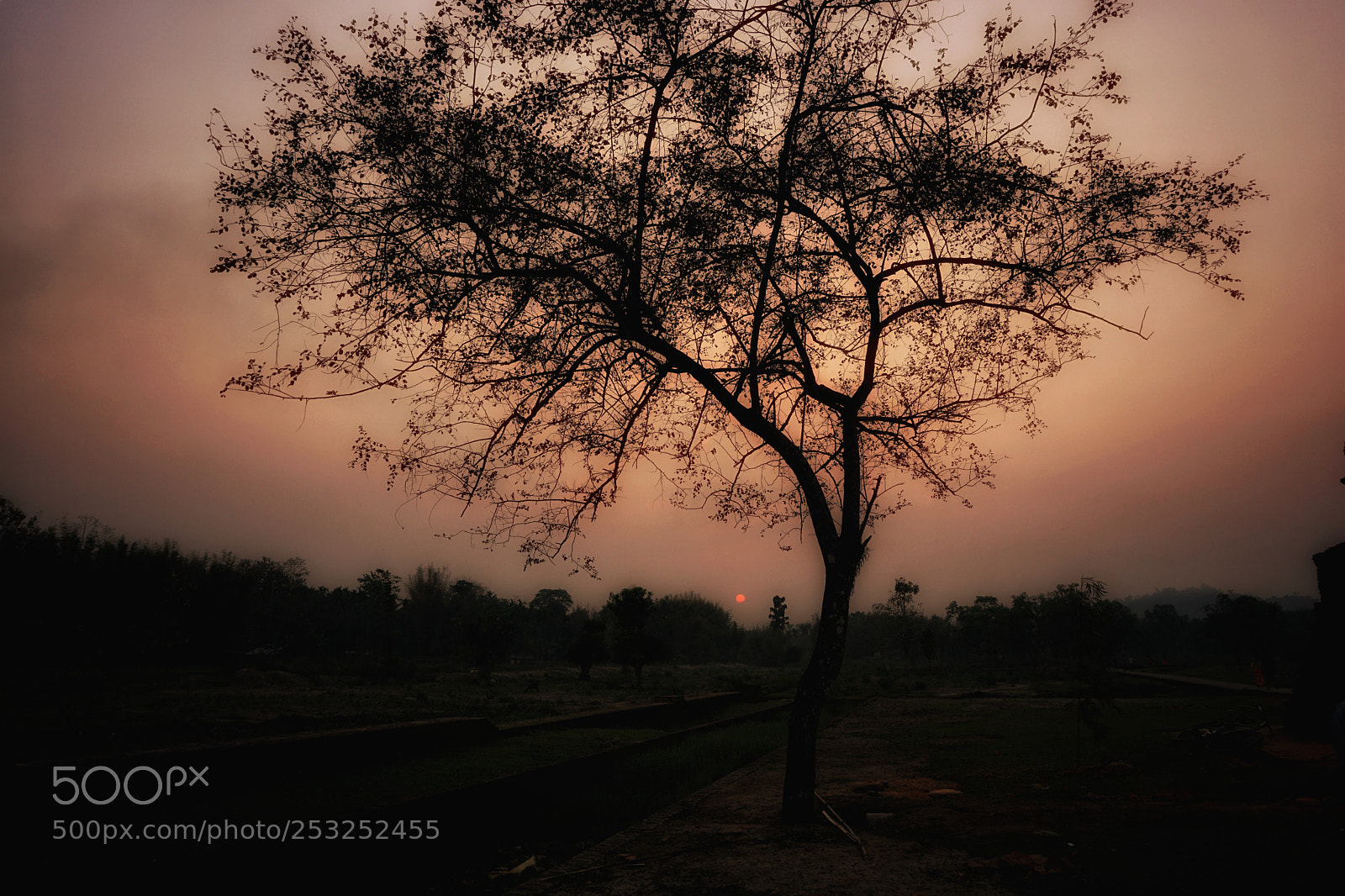 Sony a5100 sample photo. Evening photography