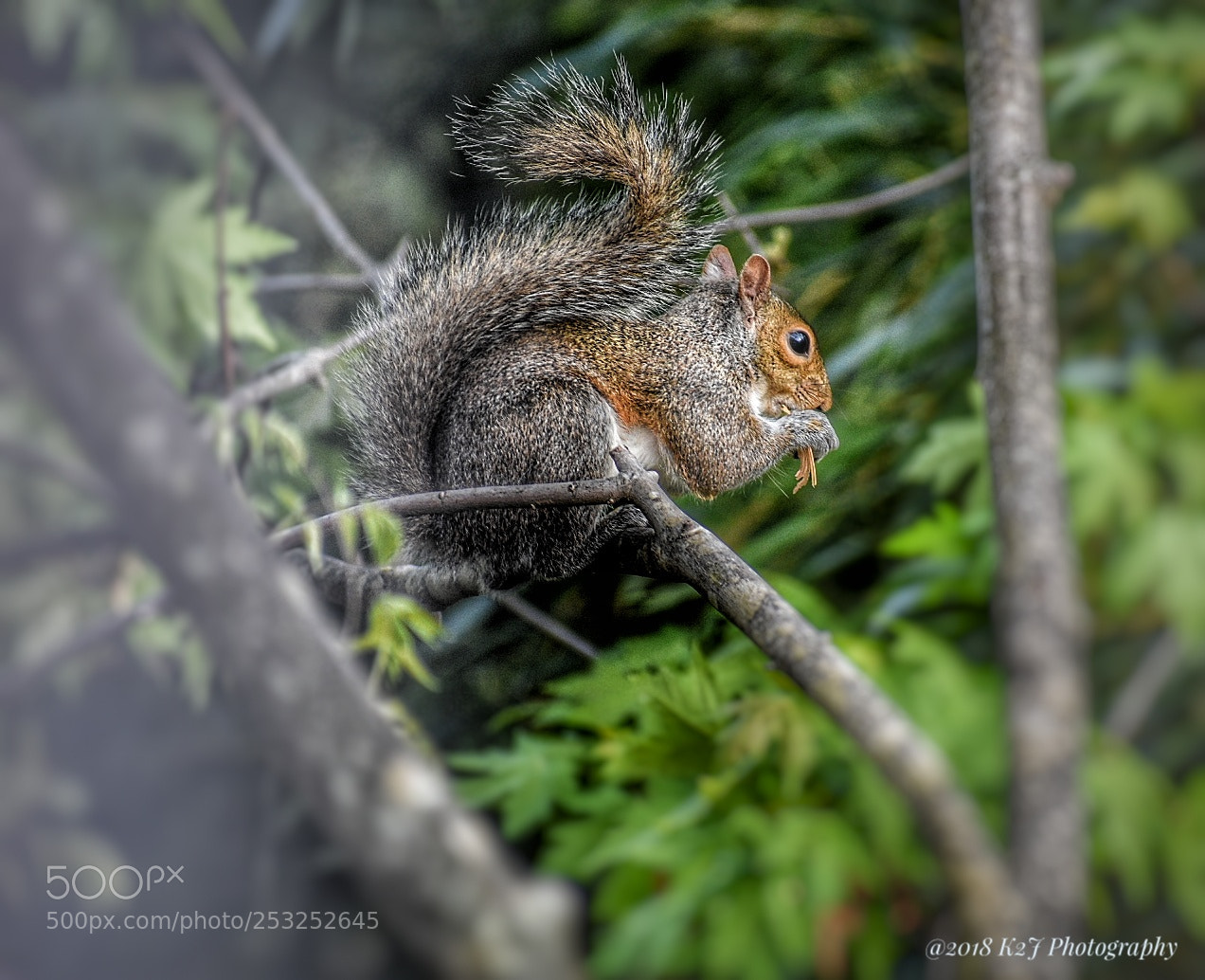 Nikon D3400 sample photo. Jumpeatsleeprepeat photography