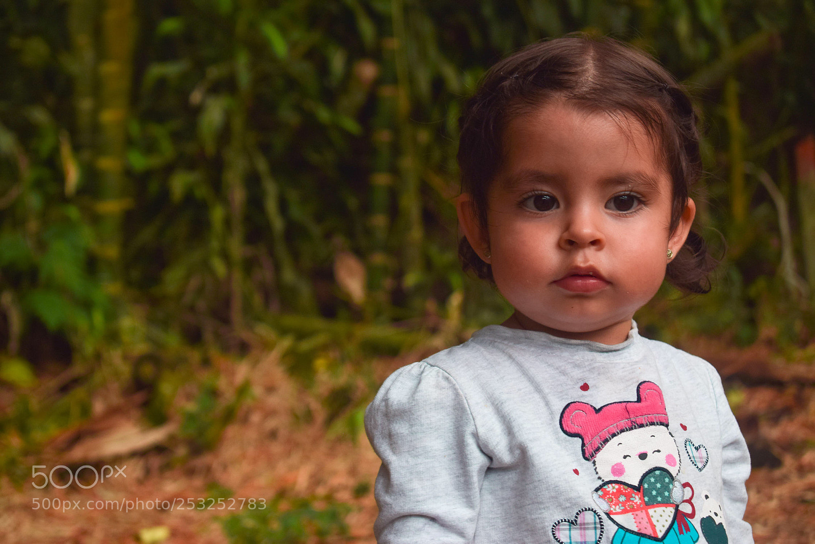 Nikon D3300 sample photo. Untitled photography