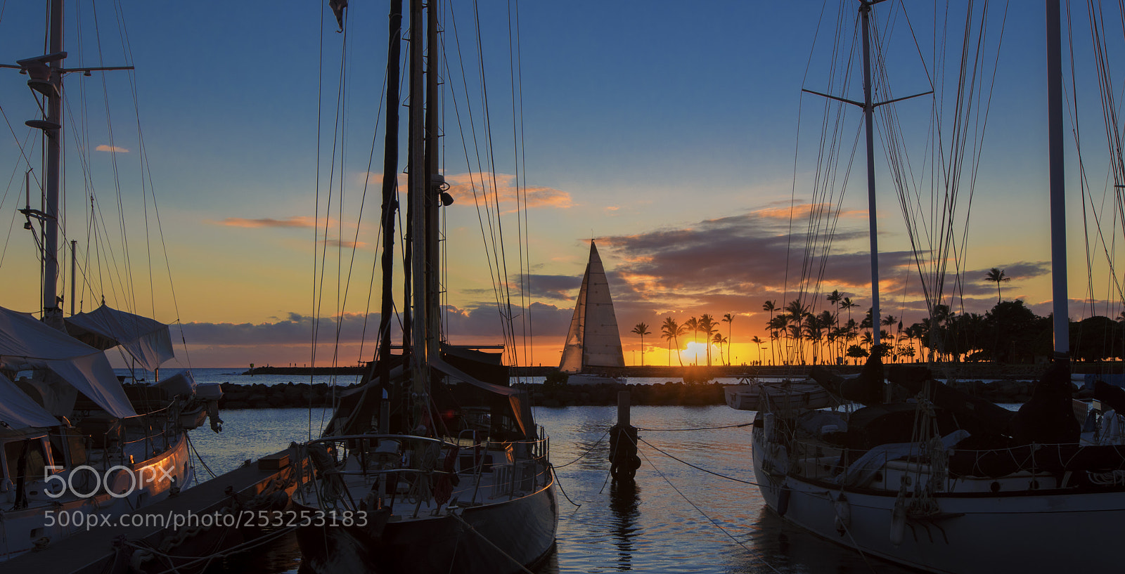 Nikon D810 sample photo. Hawaii sunset, oahu photography
