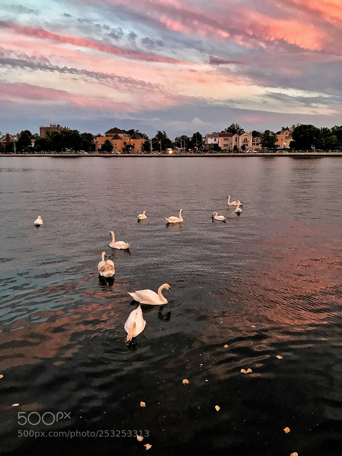 Apple iPhone 7 Plus sample photo. Sheepshead bay,brooklyn photography