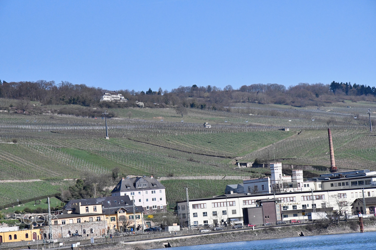Nikon D7500 sample photo. Vineyards above rüdesheim photography