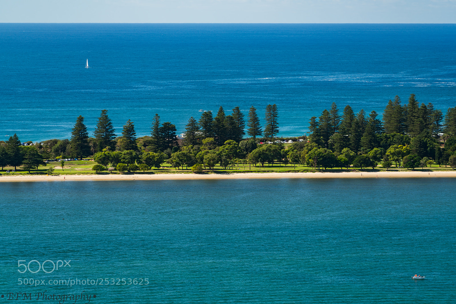 Sony a7R II sample photo. Palm beach photography