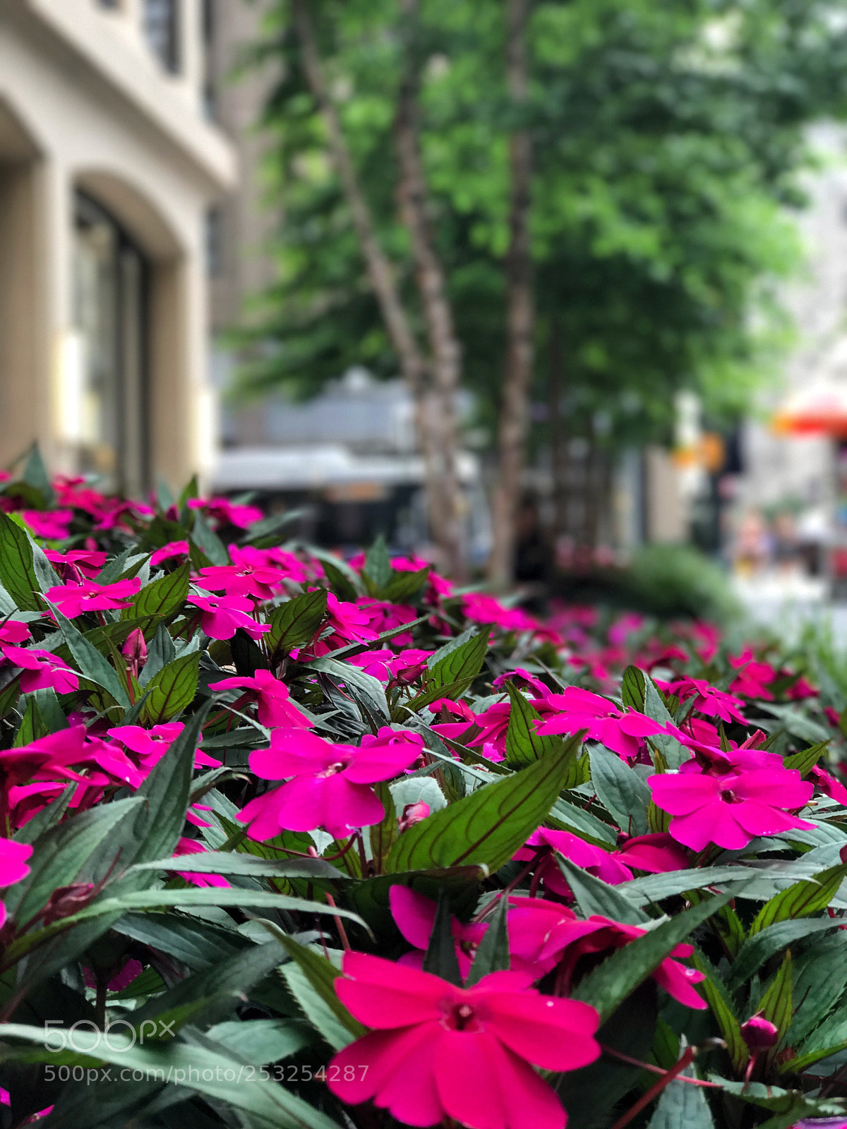Apple iPhone 7 Plus sample photo. Manhattan photography