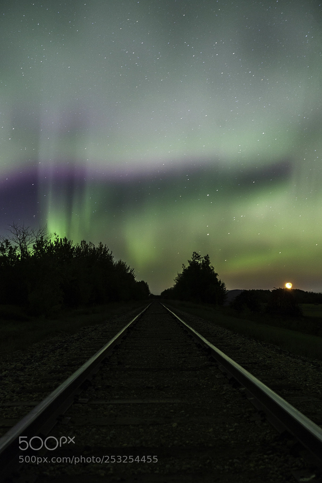 Canon EOS 5D Mark II sample photo. Aurora tracks photography