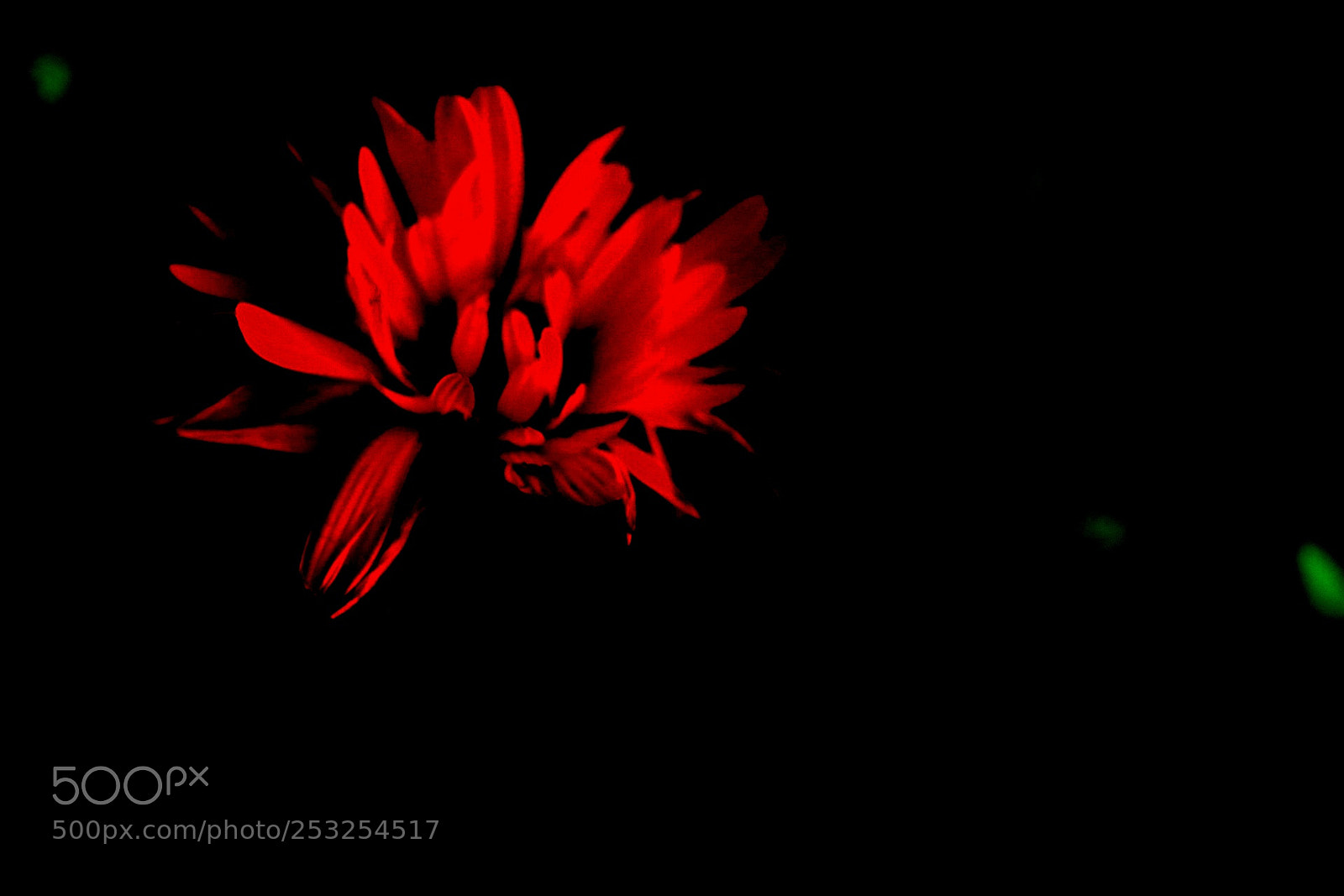 Canon EOS 760D (EOS Rebel T6s / EOS 8000D) sample photo. Untitled photography