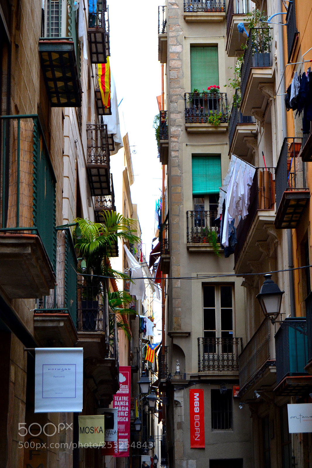 Nikon D3100 sample photo. Untitled photography