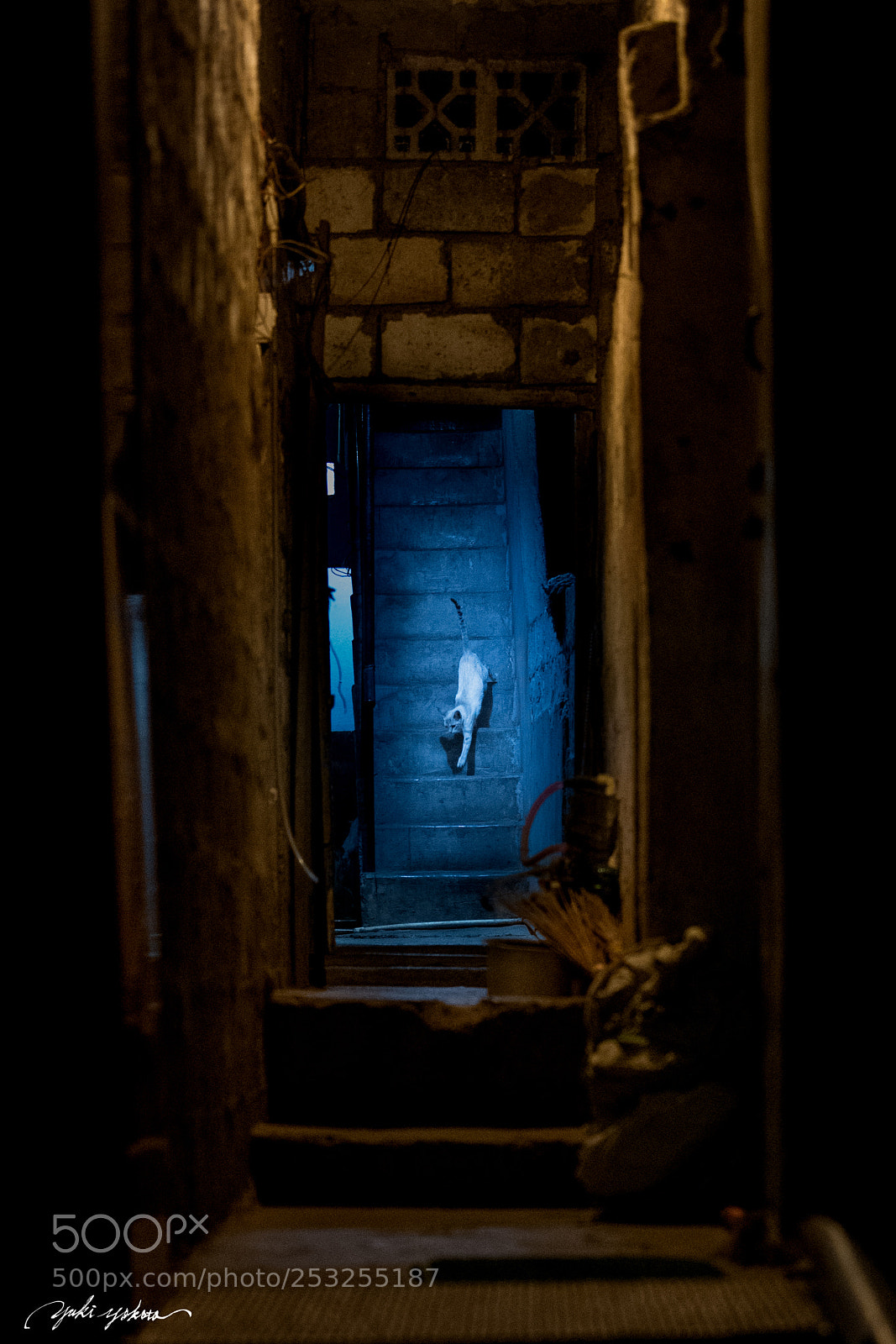 Nikon D5 sample photo. Stairwey photography
