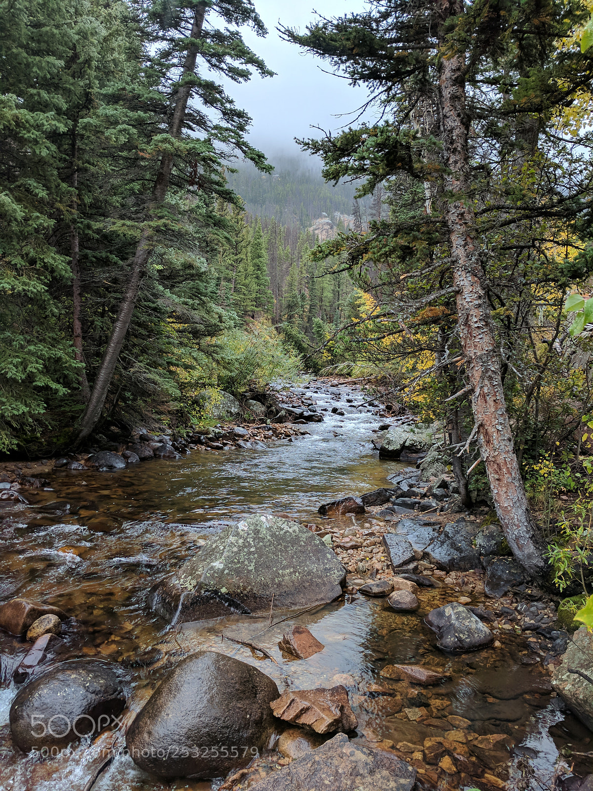 Google Pixel sample photo. Untitled photography