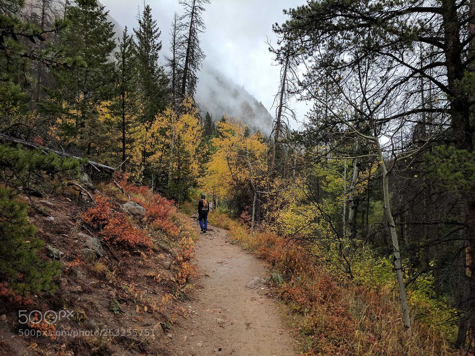 Google Pixel sample photo. Fall color photography
