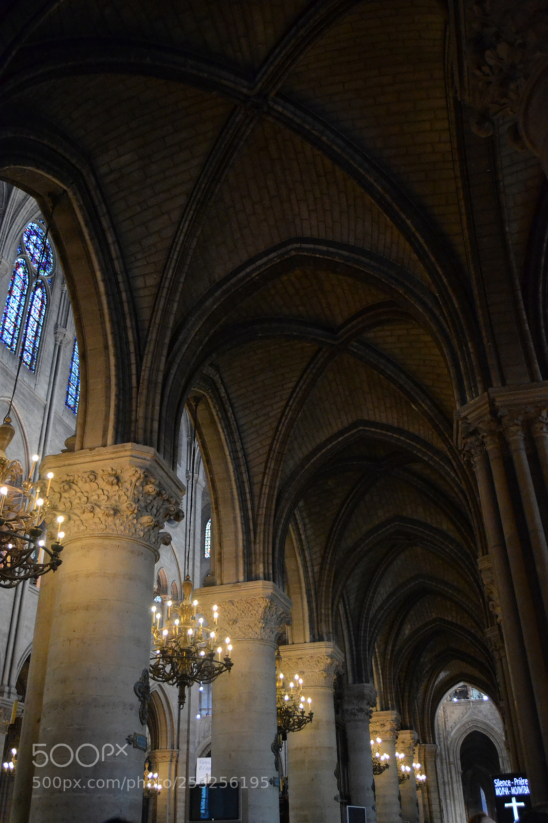 Nikon D3100 sample photo. Untitled photography