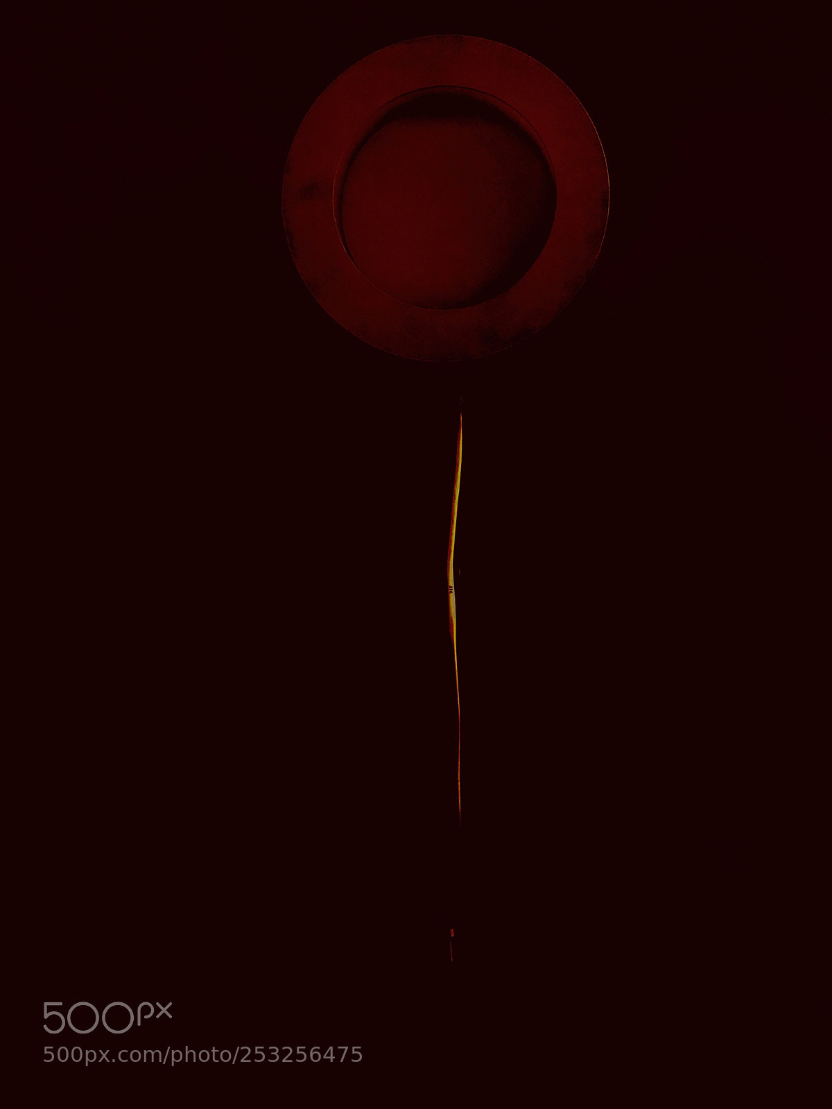Apple iPhone 8 Plus sample photo. Flower  photography