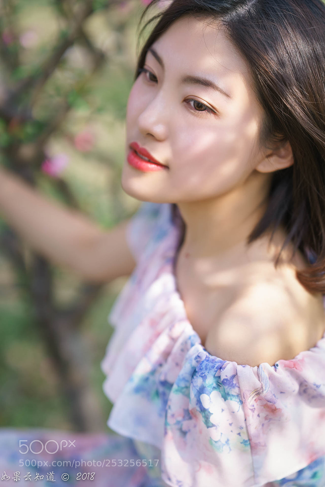 Sony a7R II sample photo. Untitled photography