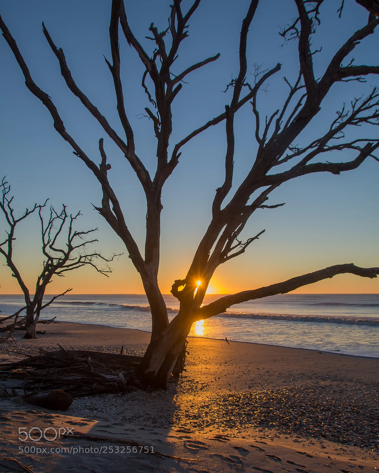 Nikon D7100 sample photo. Boneyard sunrise photography