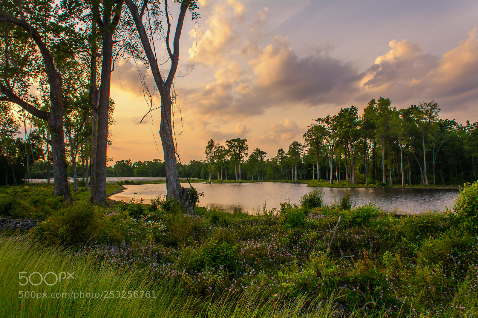 Nikon D7100 sample photo. Sunset at the lake photography