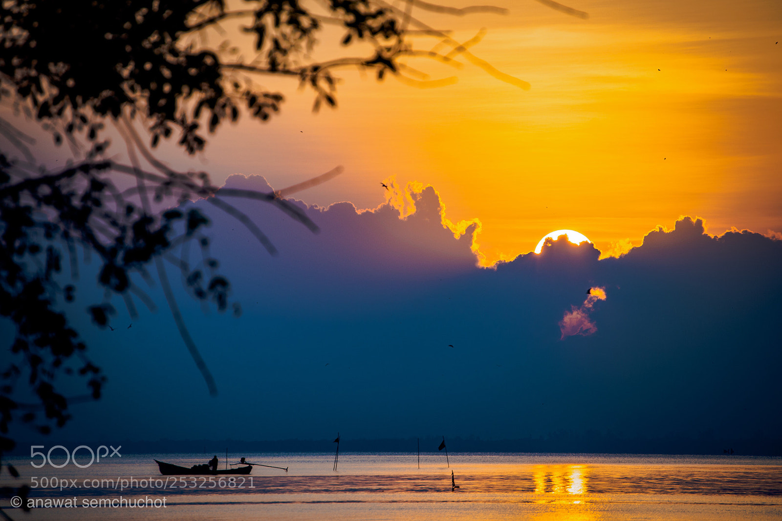 Nikon D800 sample photo. Untitled photography
