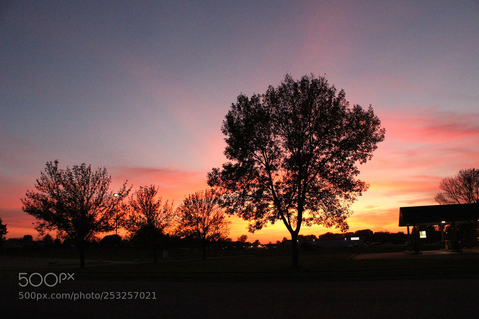 Canon EOS 600D (Rebel EOS T3i / EOS Kiss X5) sample photo. Sunsets photography
