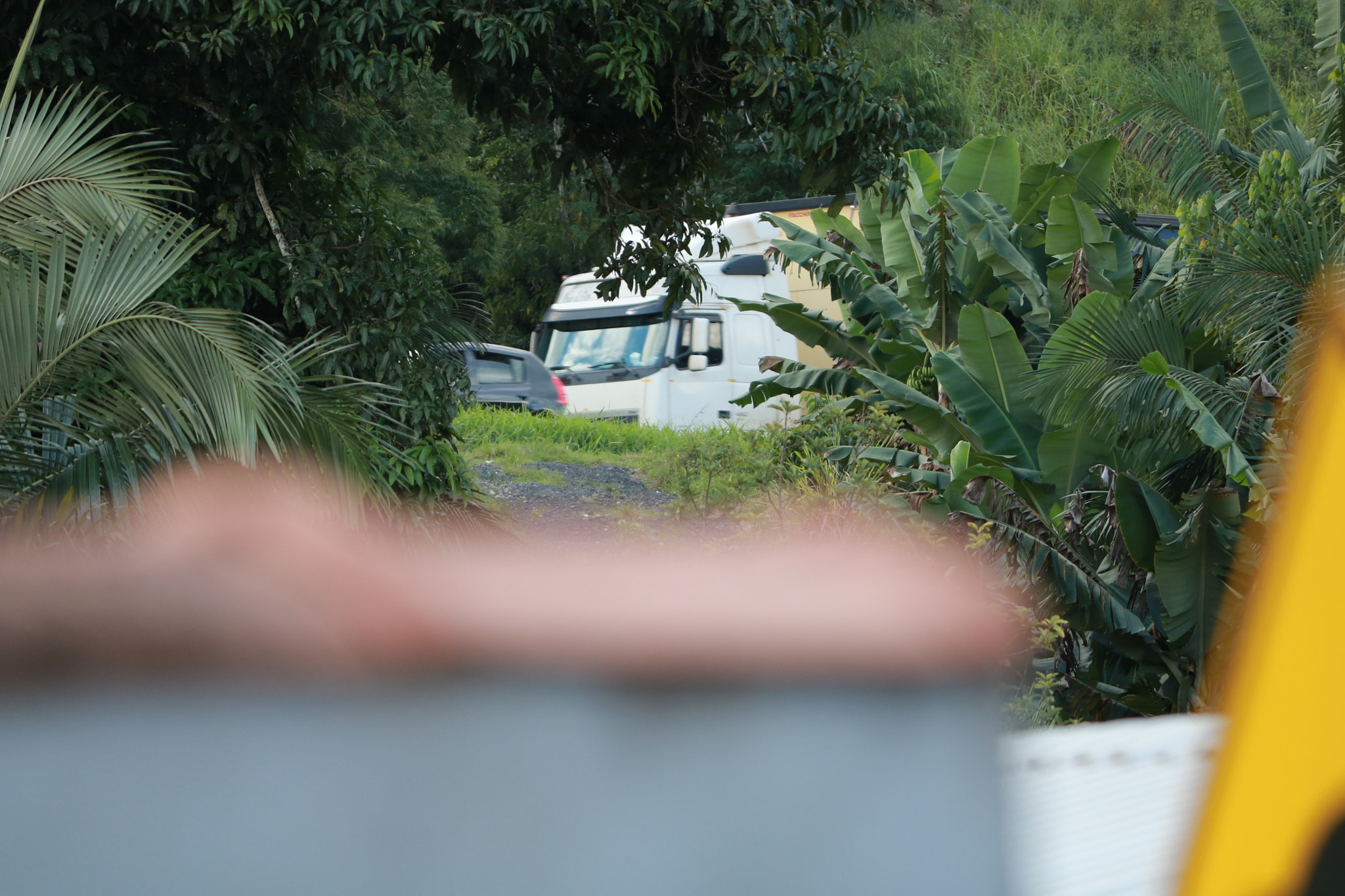 Canon EOS 750D (EOS Rebel T6i / EOS Kiss X8i) sample photo. Img photography