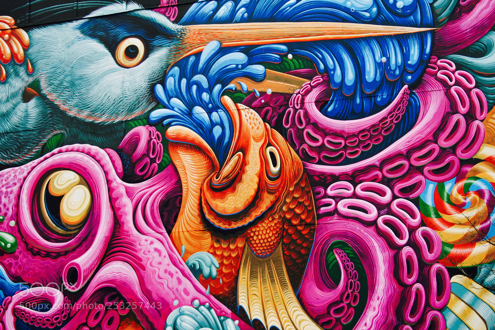 Canon EOS 400D (EOS Digital Rebel XTi / EOS Kiss Digital X) sample photo. Graffiti i, halifax canada photography