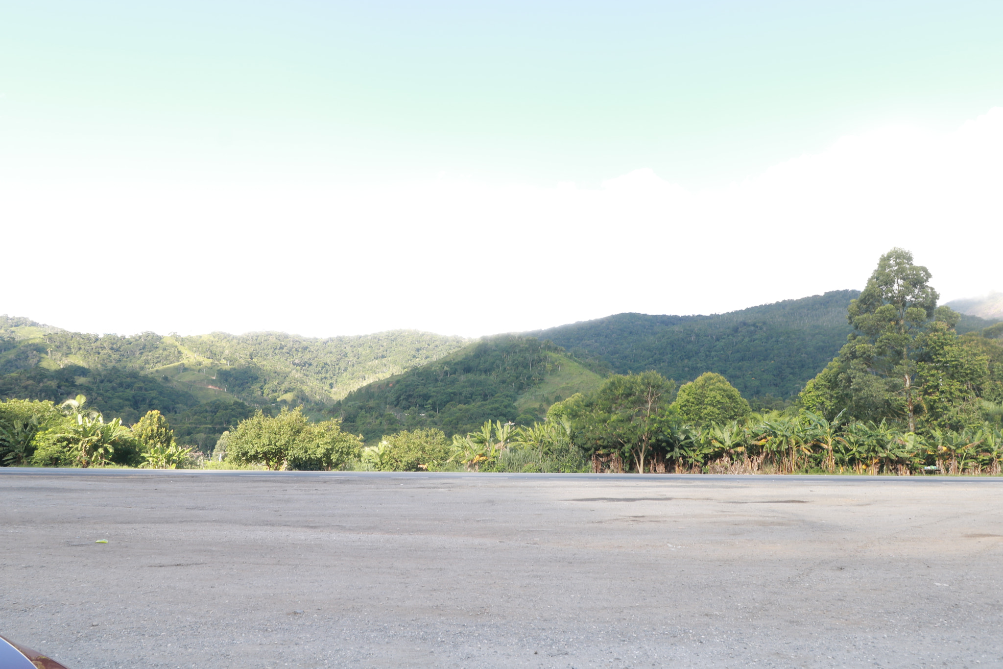 Canon EOS 750D (EOS Rebel T6i / EOS Kiss X8i) sample photo. Img photography