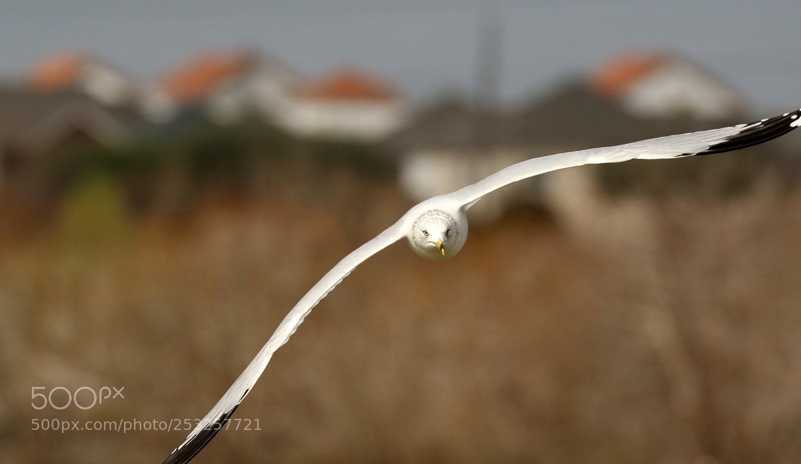Canon EOS 7D Mark II sample photo. Exploring.....! photography