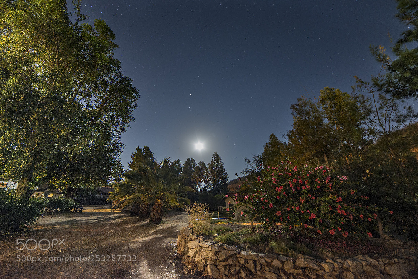 Nikon D800E sample photo. 2am beauty nigth photography