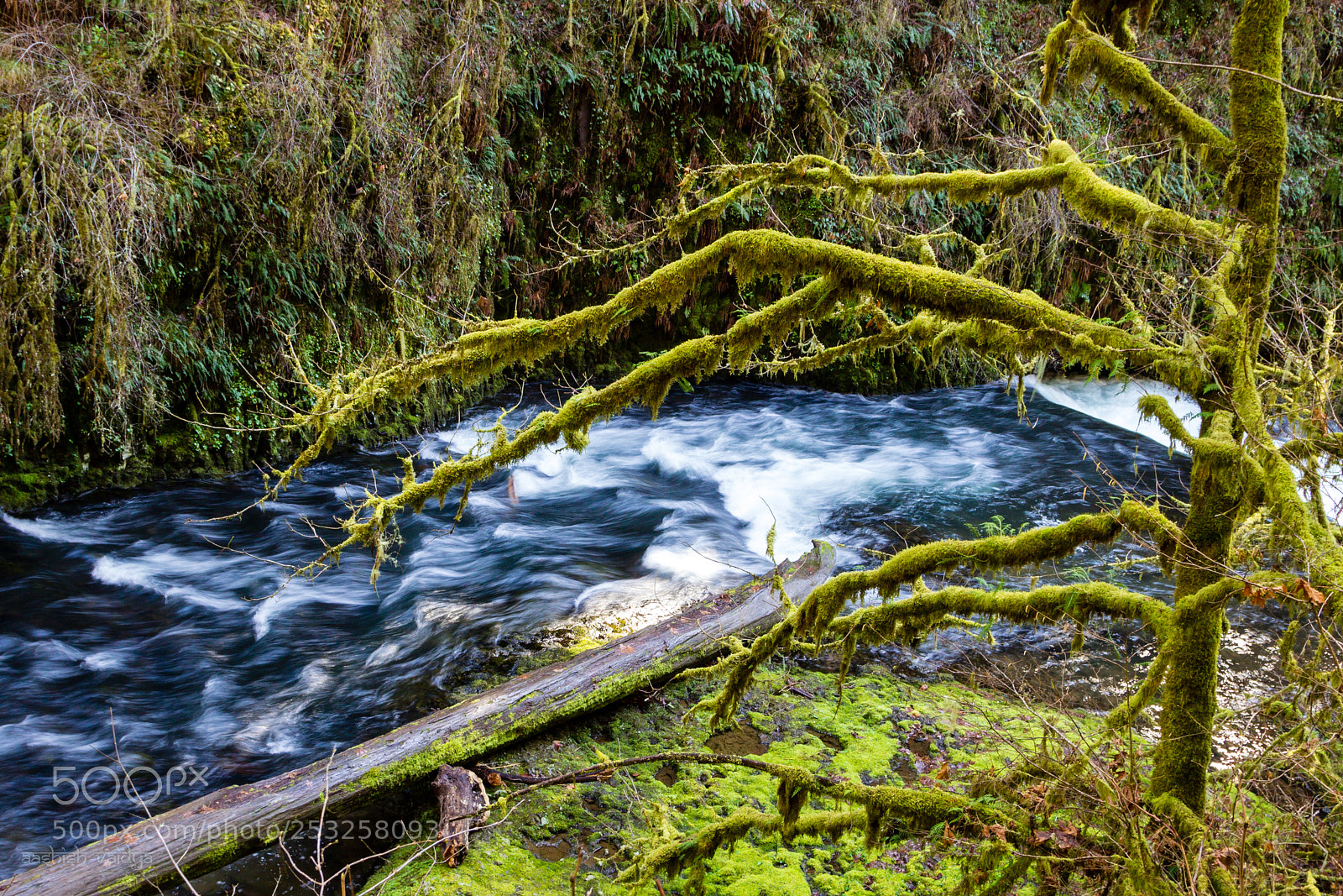 Canon EOS 600D (Rebel EOS T3i / EOS Kiss X5) sample photo. Downstream of the waterfall photography