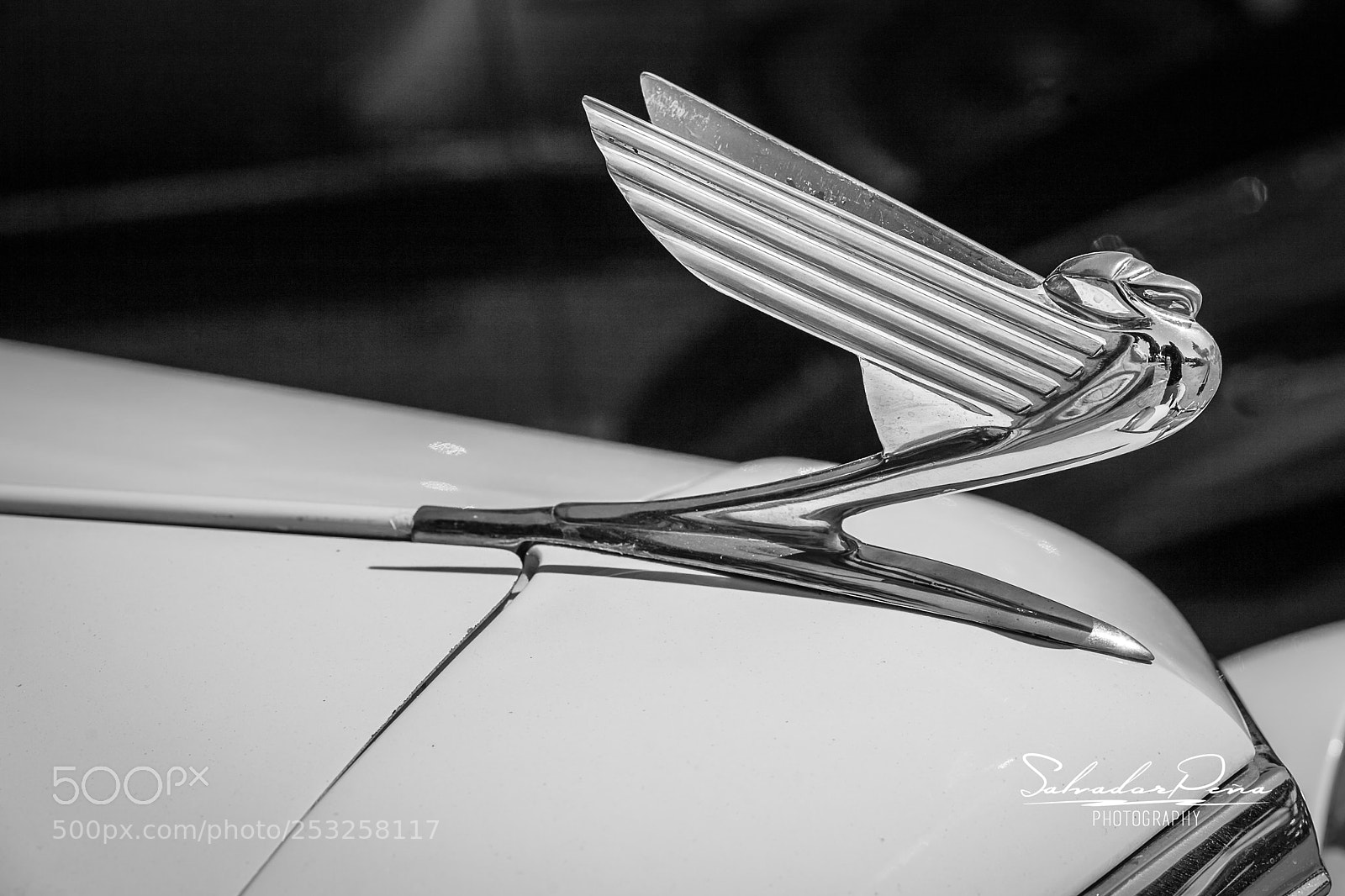 Canon EOS 5D sample photo. Vintage emblem photography